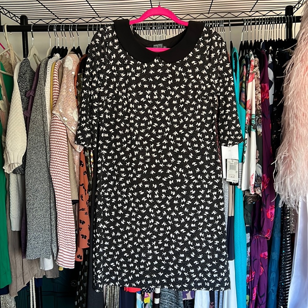 Poodle Dress